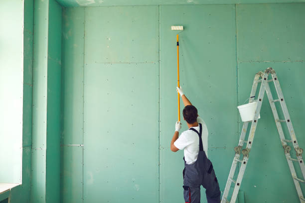 Best Mold Odor Removal Services  in Jefferson, OH