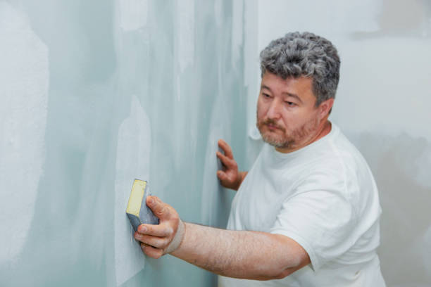 Best Emergency Mold Remediation  in Jefferson, OH