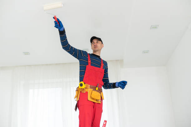 Best Water Damage & Mold Remediation  in Jefferson, OH